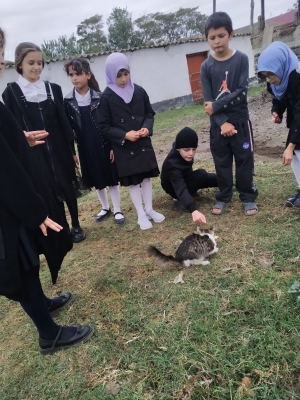 День охраны животных.